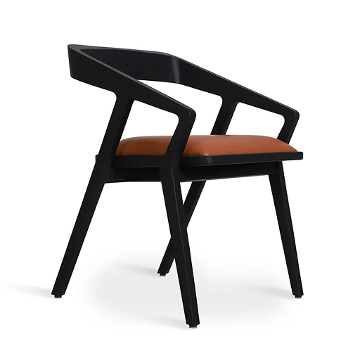 Image of Dining Chairs F-DCR-19